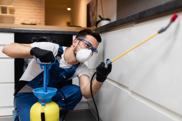 Best Termite Control Services  in Graysville, TN