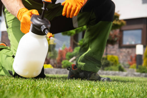 Best Affordable Pest Control Services  in Graysville, TN