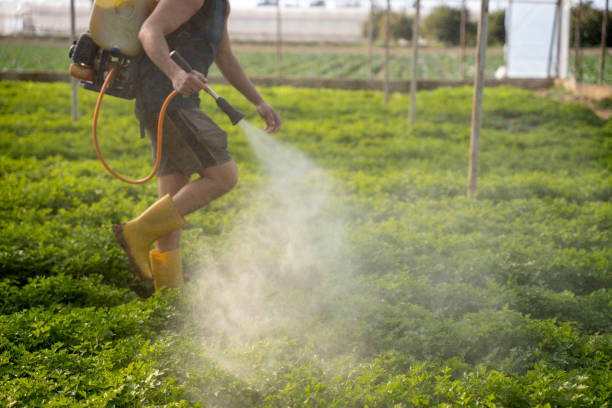 Best Affordable Pest Control Services  in Graysville, TN