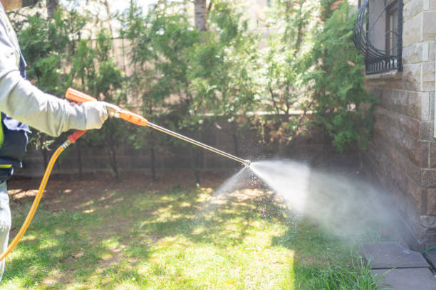 Best Cockroach Control Services  in Graysville, TN