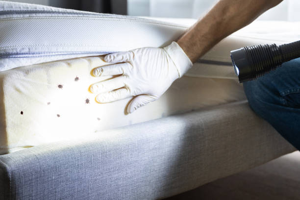 Best Pest Prevention Services  in Graysville, TN