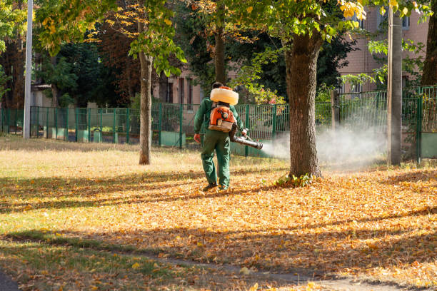 Best Pest Removal Services  in Graysville, TN